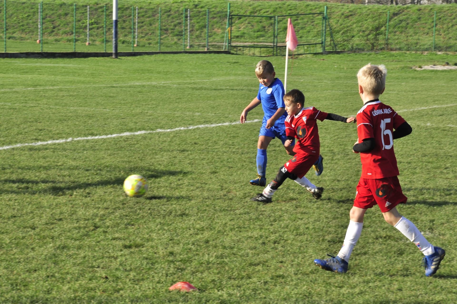 Turniej Piłkarski dla rocznika 2012 - RADZISZOWIANKA CUP I EDYCJA. Fotorelacja. — zdjęcie 238