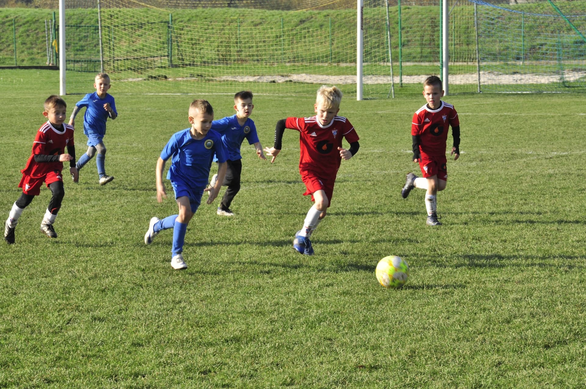 Turniej Piłkarski dla rocznika 2012 - RADZISZOWIANKA CUP I EDYCJA. Fotorelacja. — zdjęcie 241