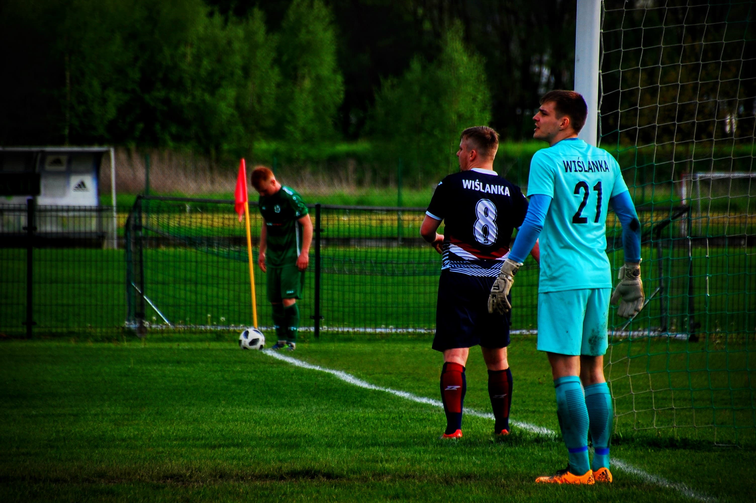 RADZISZOWIANKA  - WIŚLANKA GRABIE 1:1 — zdjęcie 96