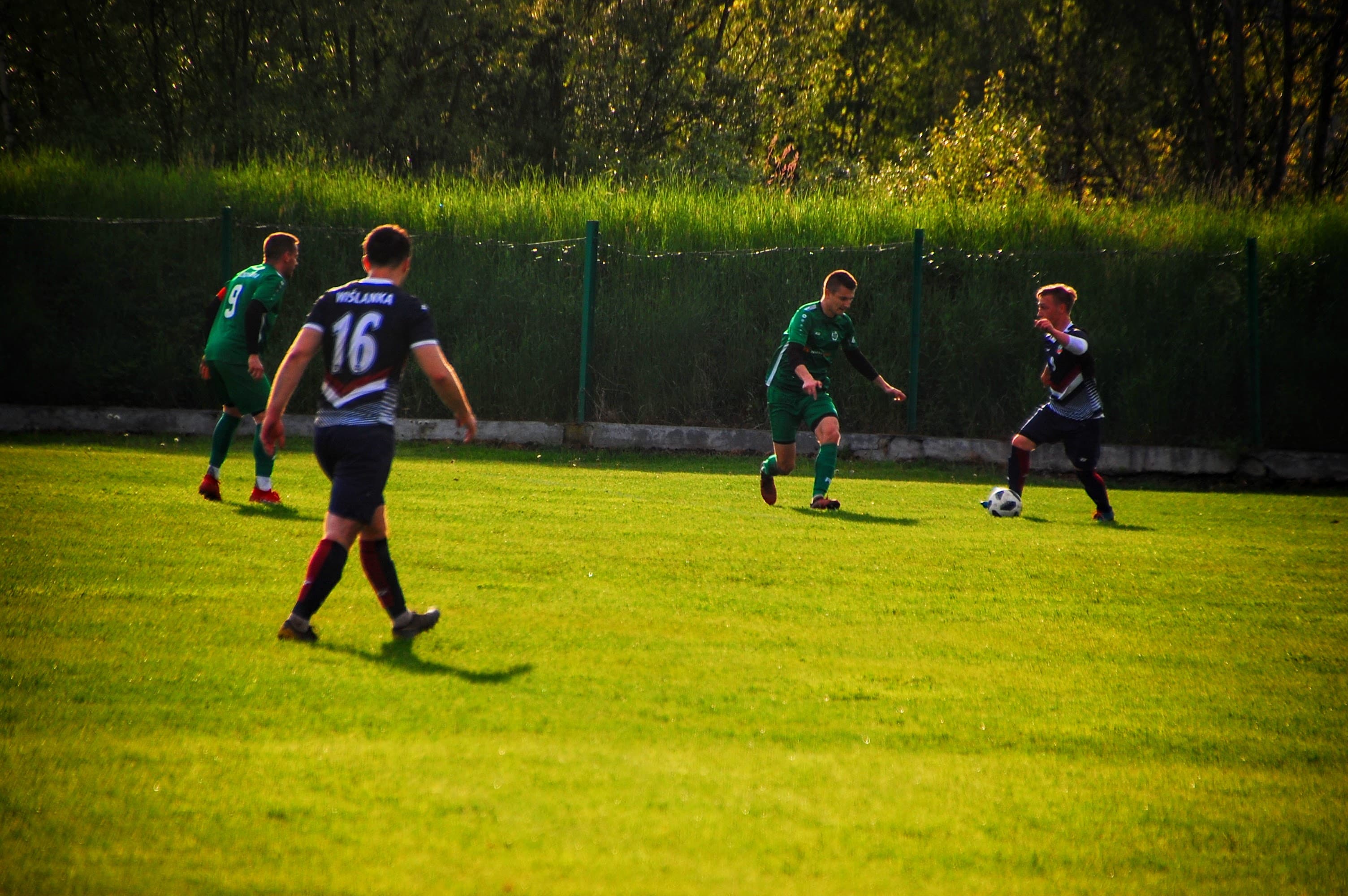 RADZISZOWIANKA  - WIŚLANKA GRABIE 1:1 — zdjęcie 129
